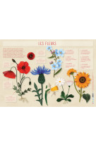 Les fleurs