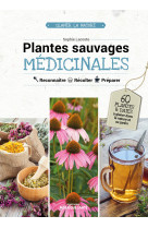 Plantes sauvages medicinales - reconnaitre, recolter, preparer