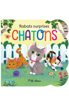 Rabats surprises : chatons