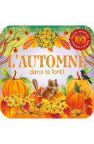 Rabats surprises - l'automne dans la foret