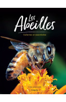 Les abeilles. vaillantes et essentielles