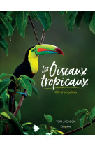 Les oiseaux tropicaux. vifs et singuliers