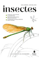 Insectes