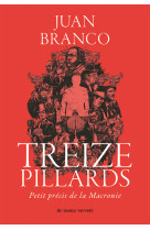 Treize pillards - petit precis de la macronie