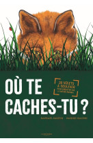 Ou te caches-tu ?