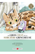 Gros chat et la sorciere grincheuse (le) - t01 - l