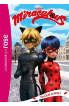 Miraculous 02 - un chat de trop !