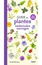 Guide des plantes médicinales sauvages