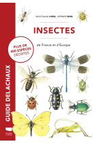 Insectes de france et d'europe