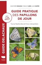 Guide pratique des papillons de jour