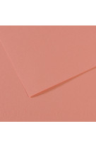 Feuille mi-teintes 160gr 50x65 rose fonce 352