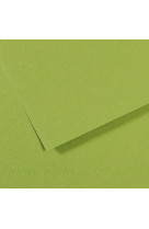 Feuille mi-teintes 160gr 50x65 vert pomme 475