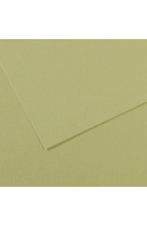 Feuille mi-teintes 160gr 50x65 vert amande 480