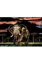 Peinture a gratter 30x42 elephant