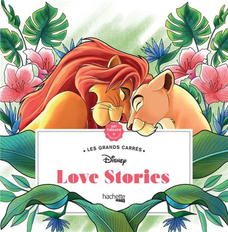 LES GRANDS CARRES DISNEY LOVE STORIES - SOUSA TRACY - HACHETTE