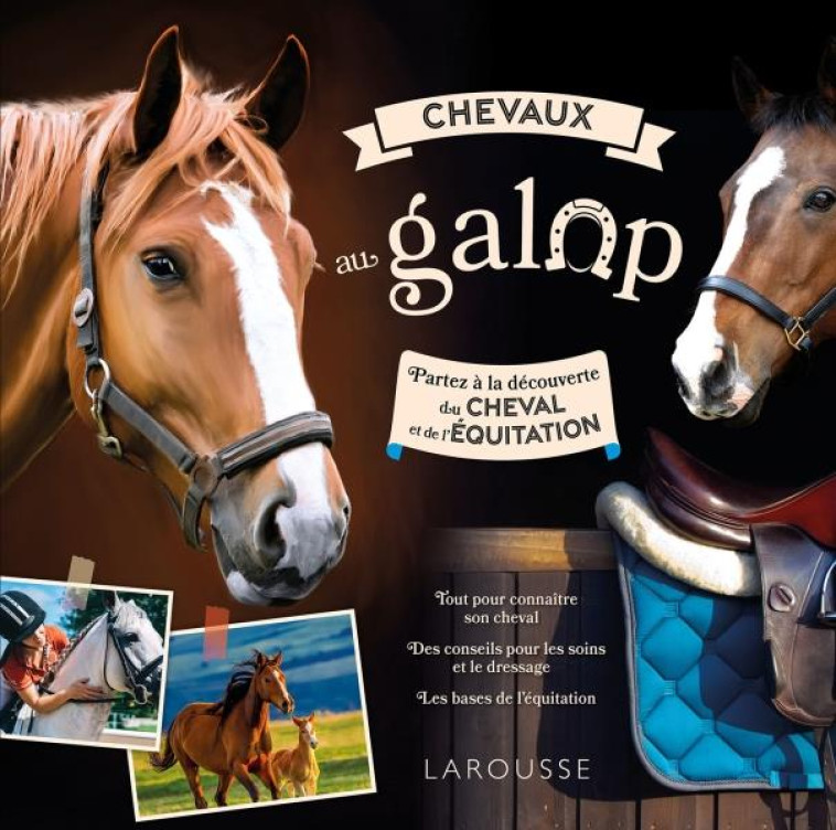 CHEVAUX AU GALOP - COLLECTIF - LAROUSSE