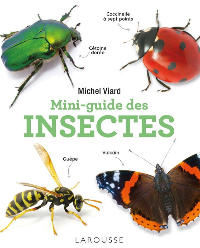 MINI-GUIDE DES INSECTES - VIARD MICHEL - LAROUSSE