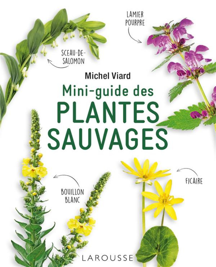 MINI-GUIDE DES PLANTES SAUVAGES - VIARD MICHEL - LAROUSSE