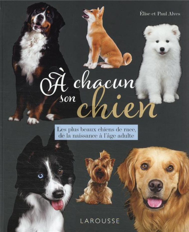 A CHACUN SON CHIEN - XXX - LAROUSSE