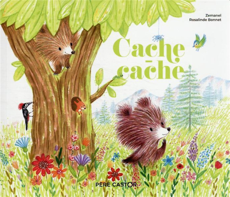 CACHE-CACHE - ZEMANEL - FLAMMARION