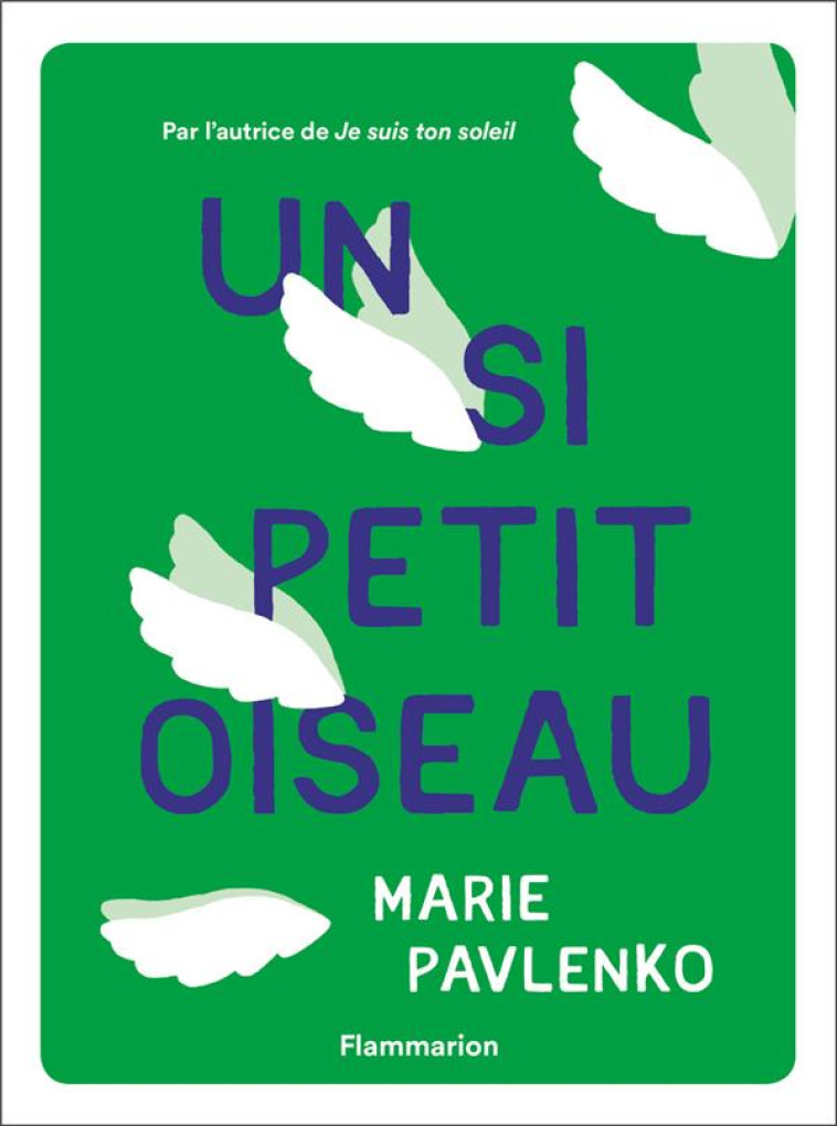 UN SI PETIT OISEAU - PAVLENKO MARIE - FLAMMARION