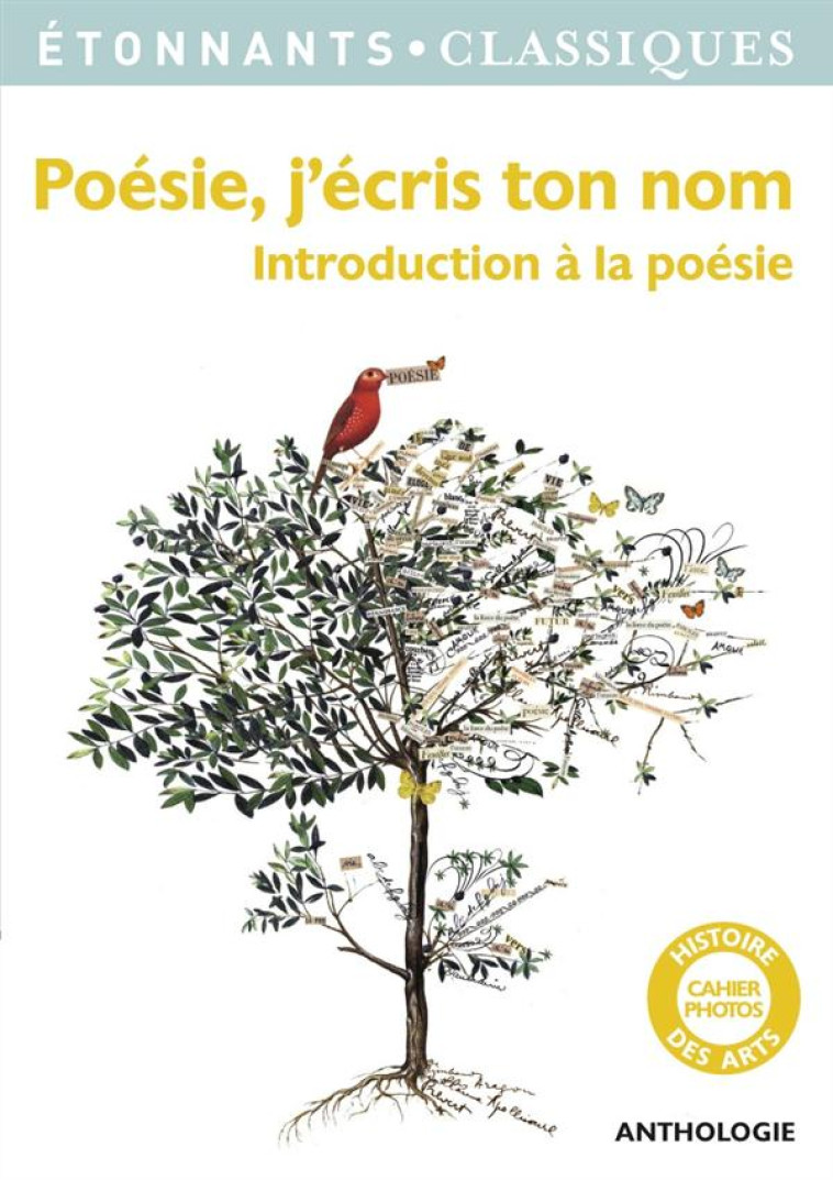 POESIE, J'ECRIS TON NOM - COLLECTIF - Flammarion