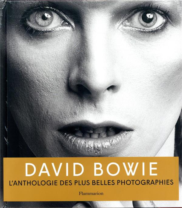 DAVID BOWIE - L'ANTHOLOGIE DES PLUS BELLES PHOTOGRAPHIES - COLLECTIF - FLAMMARION