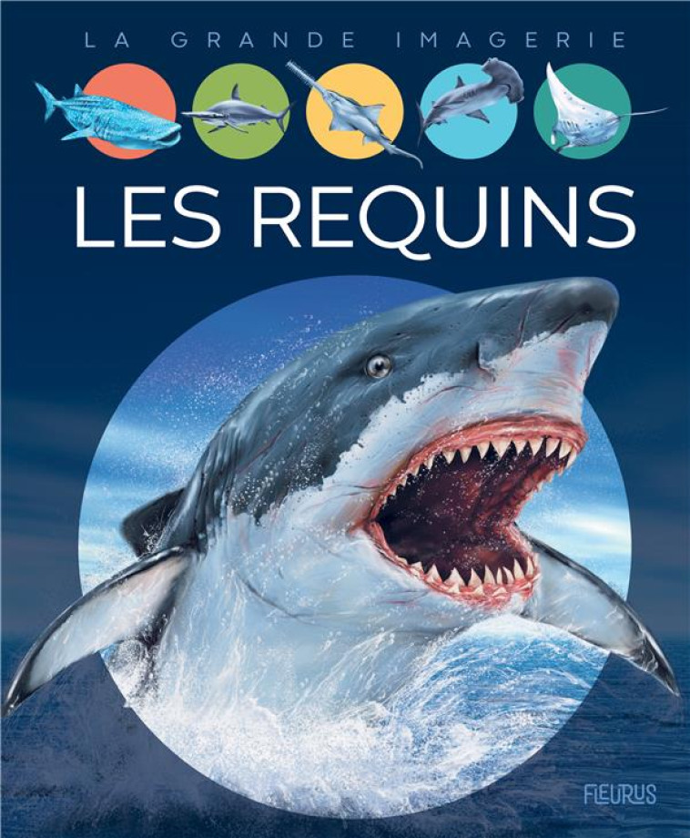 LES REQUINS - FRANCO/DAYAN - FLEURUS