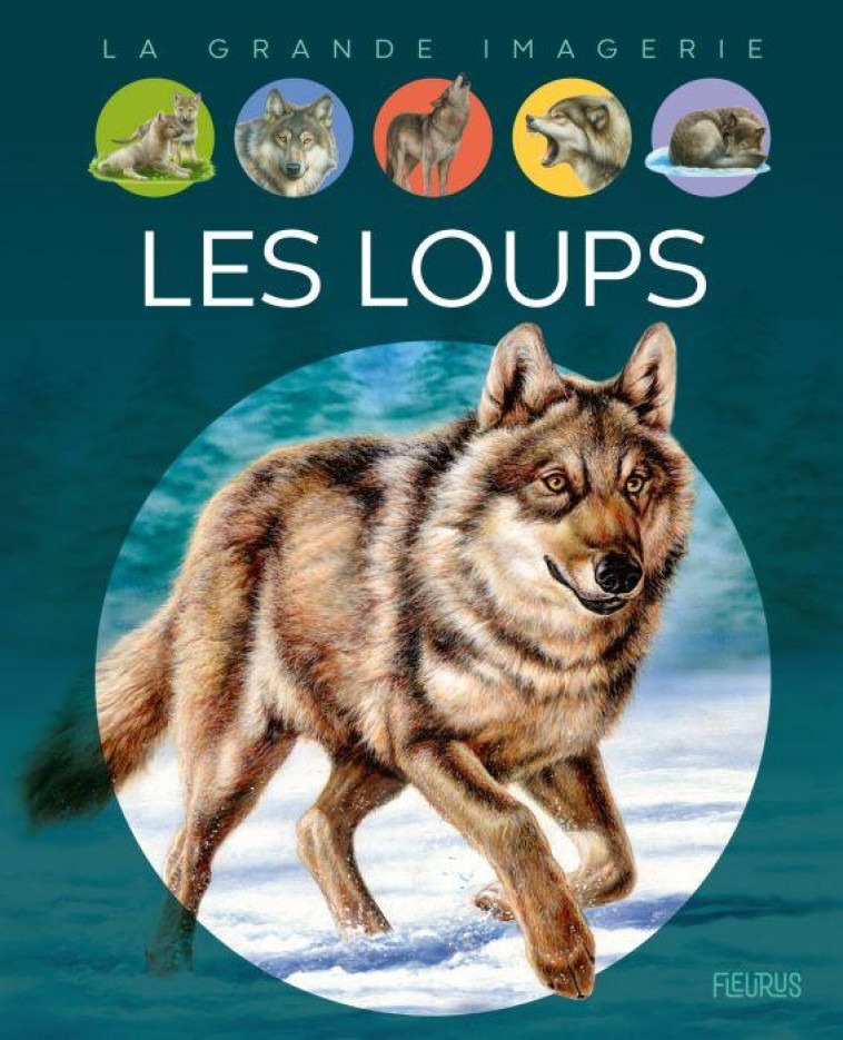 LES LOUPS - VANDEWIELE/LEMAYEUR - FLEURUS