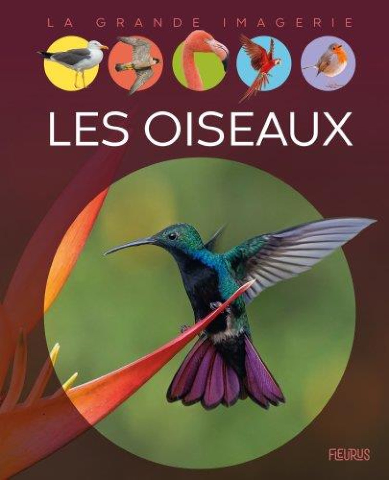 LES OISEAUX - CHAUVELOT RAPHAELLE - FLEURUS