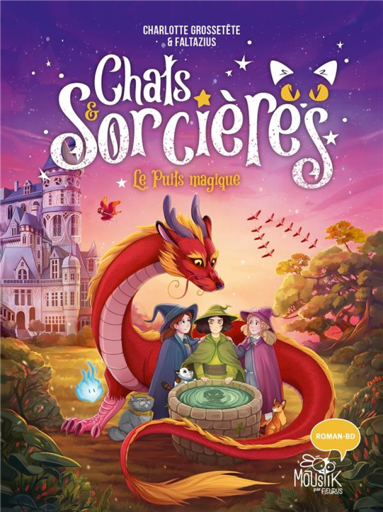 CHATS ET SORCIERES T03 LE PUITS MAGIQUE - GROSSETETE/FALTAZIUS - FLEURUS