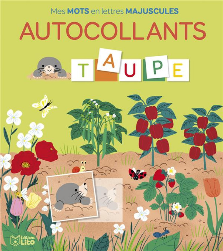 MES MOTS EN LETTRES MAJUSCULES AUTOCOLLANTS TAUPE - XXX - LITO