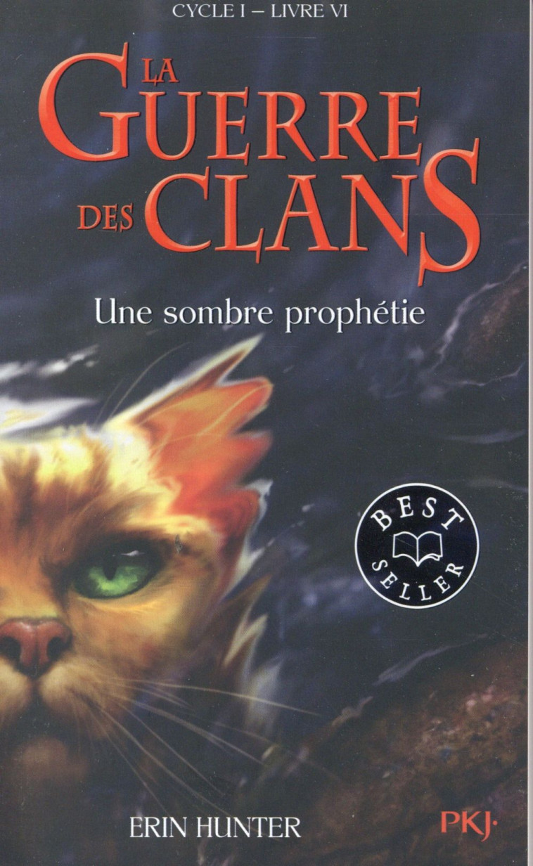 LA GUERRE DES CLANS CYCLE 1 T06 UNE SOMBRE PROPHETIE - HUNTER ERIN - POCKET