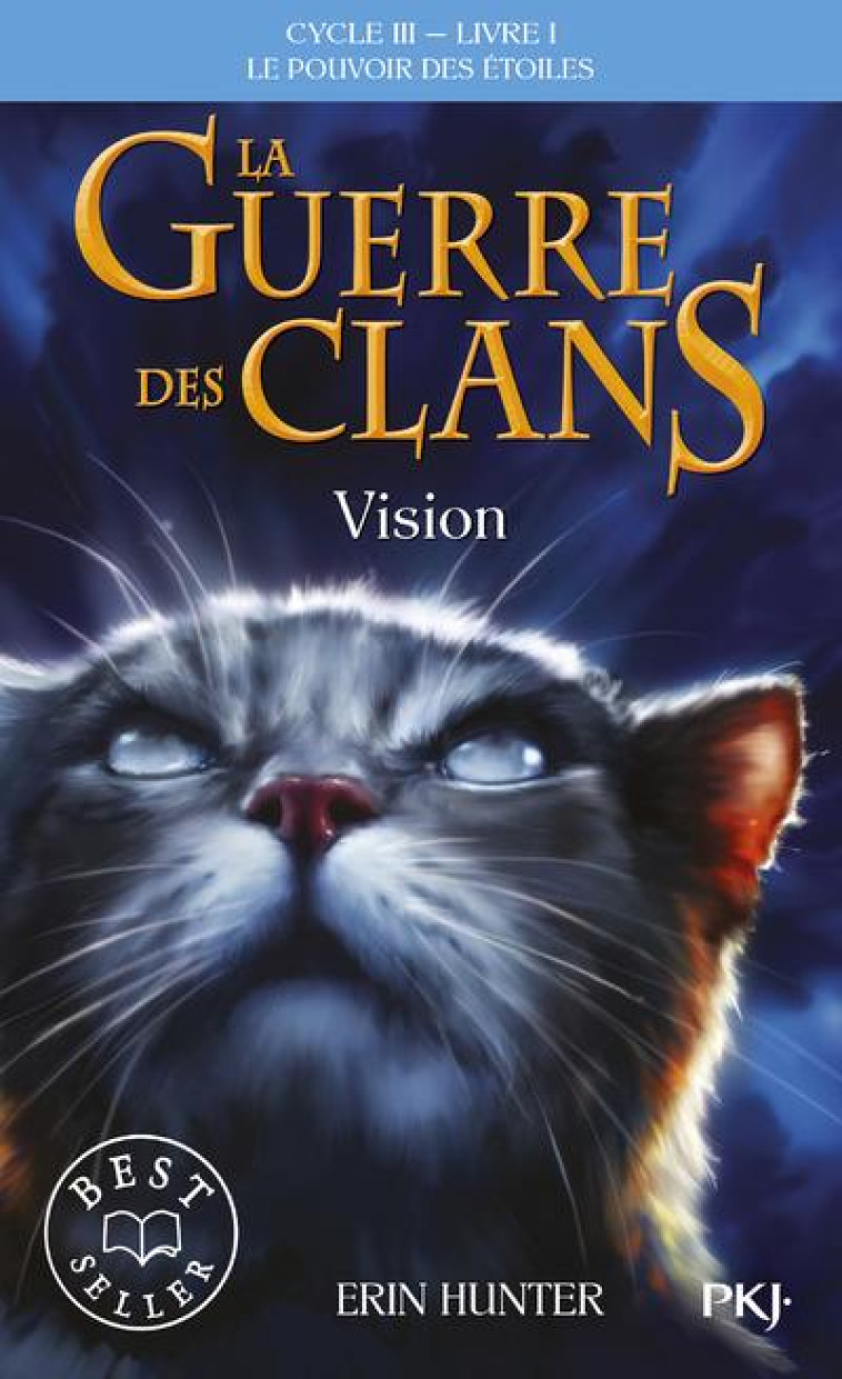 LA GUERRE DES CLANS CYCLE 3 T01 VISION - HUNTER ERIN - POCKET