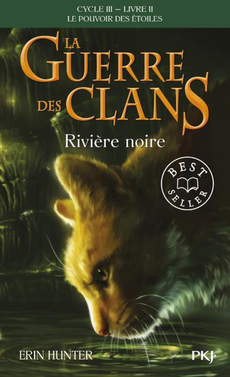 LA GUERRE DES CLANS CYCLE 3 T02 RIVIERE NOIRE - HUNTER ERIN - POCKET