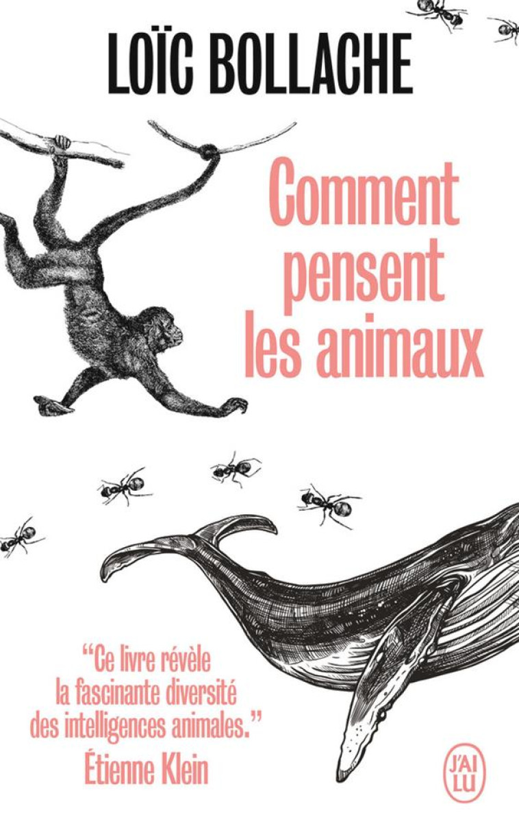 COMMENT PENSENT LES ANIMAUX - LOIC BOLLACHE - J'AI LU