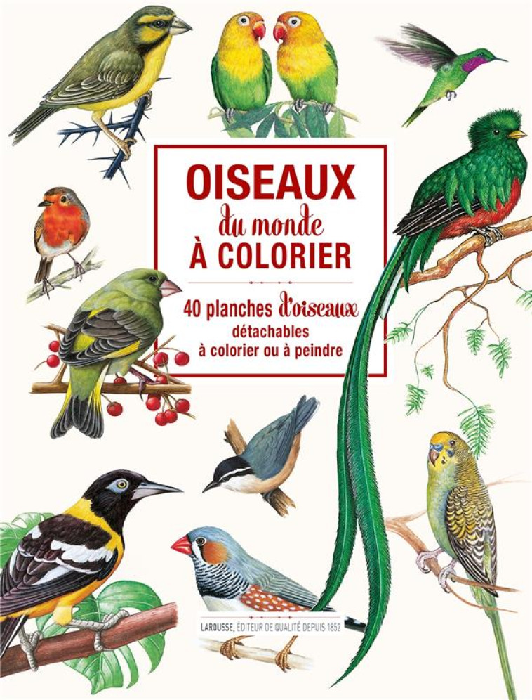 OISEAUX DU MONDE A COLORIER - 40 PLANCHES D 'OISEAUX DETACHABLES A COLORIER OU A PEINDR - XXX - NC