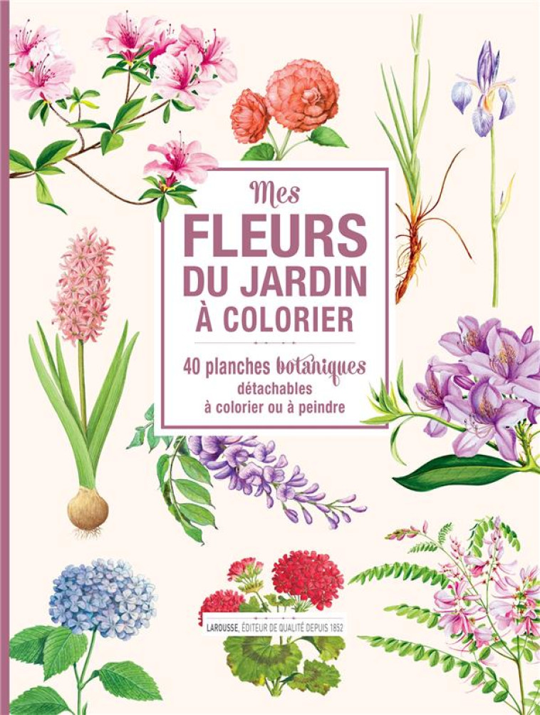 MES FLEURS DU JARDIN A COLORIER - 40 PLANCH ES BOTANIQUES DETACHABLES A COLORIER OU A P - XXX - NC