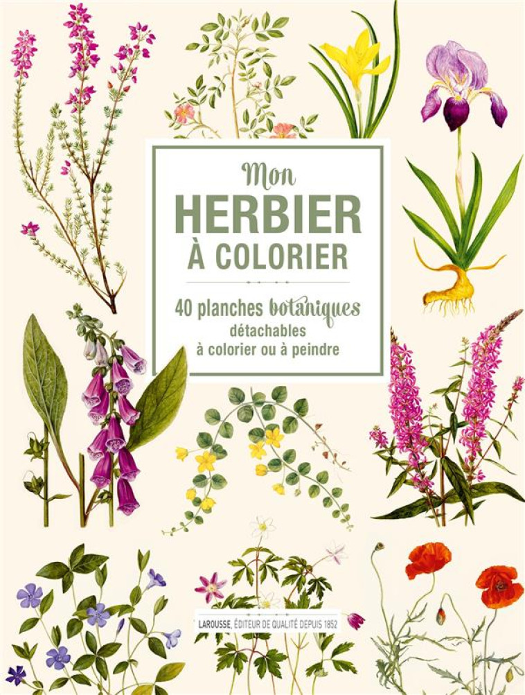 MON HERBIER A COLORIER - 40 PLANCHES BOTANI QUES DETACHABLES A COLORIER OU A PEINDRE - XXX - NC