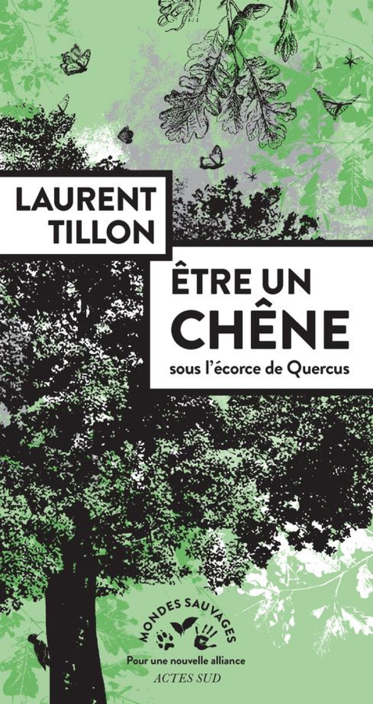 ETRE UN CHENE - SOUS L?ECORCE DE QUERCUS - TILLON LAURENT - ACTES SUD