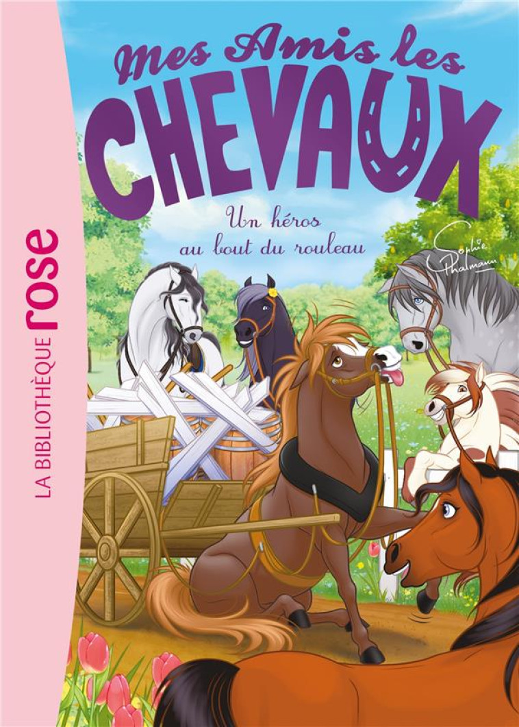 MES AMIS LES CHEVAUX T41 UN HEROS AU BOUT DU ROULEAU - THALMANN SOPHIE - HACHETTE