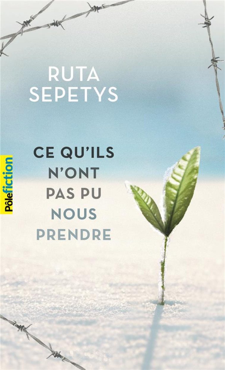 CE QU'ILS N'ONT PAS PU NOUS PRENDRE - SEPETYS RUTA - Gallimard-Jeunesse