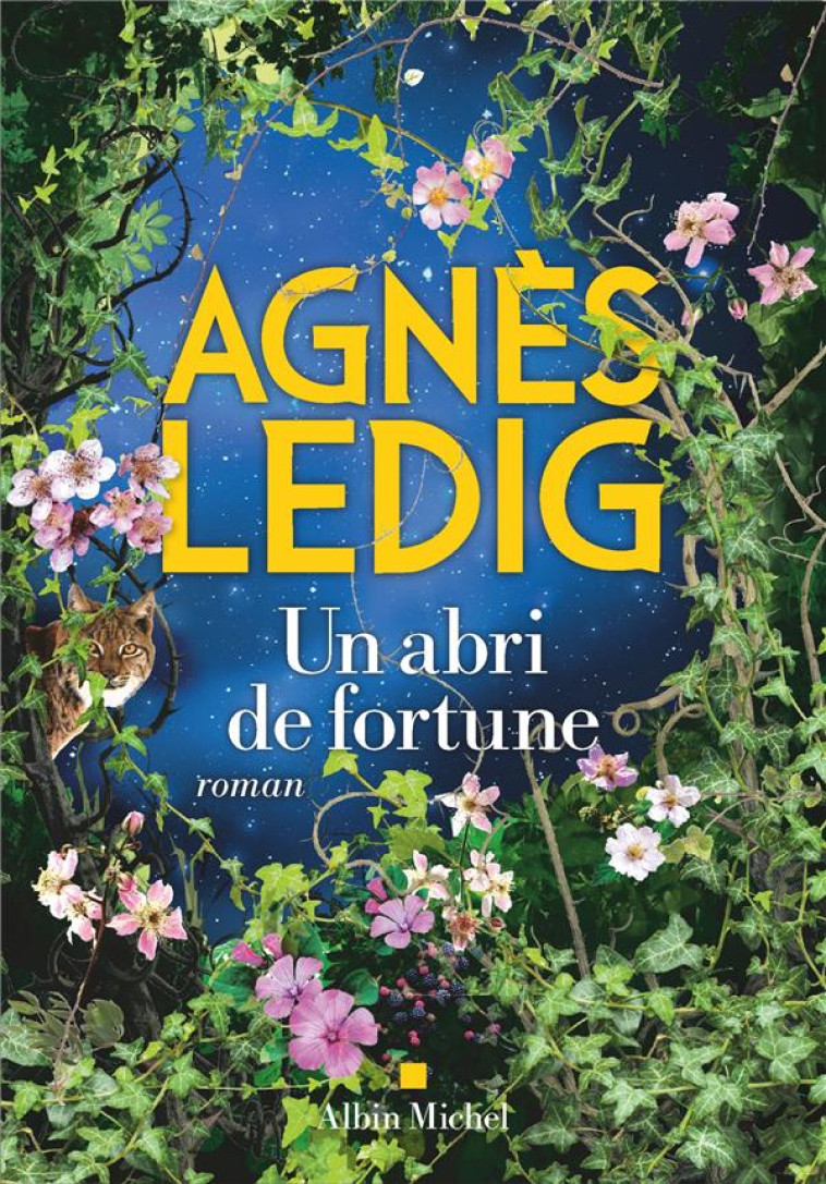 UN ABRI DE FORTUNE - LEDIG AGNES - ALBIN MICHEL