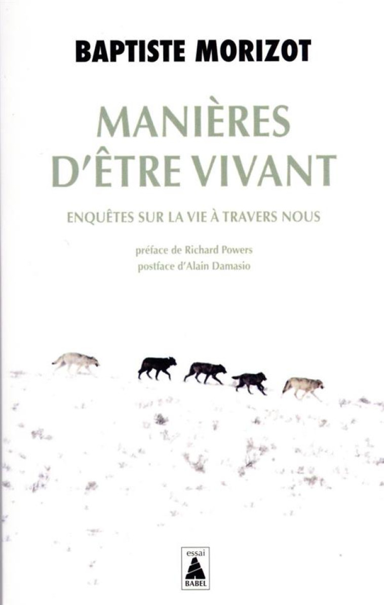 MANIERES D'ETRE VIVANT - ENQUETES SUR LA VIE A TRAVERS NOUS - MORIZOT/DAMASIO - ACTES SUD