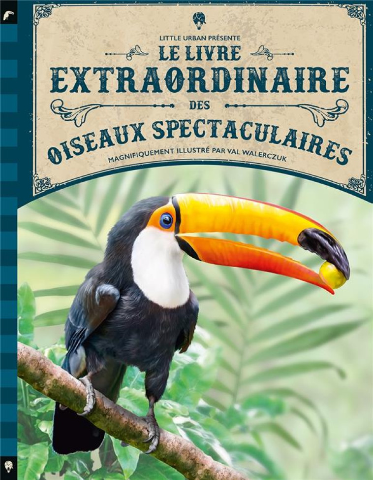 LE LIVRE EXTRAORDINAIRE DES OISEAUX SPECTACULAIRES - JACKSON TOM - LITTLE URBAN