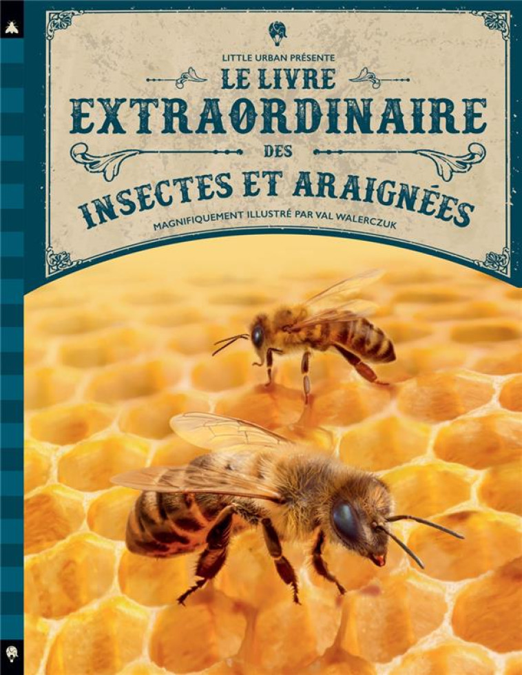 LE LIVRE EXTRAORDINAIRE DES INSECTES ET ARAIGNEES - TAYLOR BARBARA - LITTLE URBAN