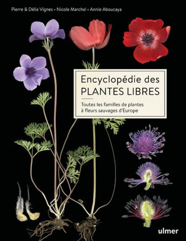 PLANTES A FLEURS SAUVAGES - TOUTES LES FAMILLES BOTANIQUES D'EUROPE - VIGNES/ABOUCAYA - ULMER