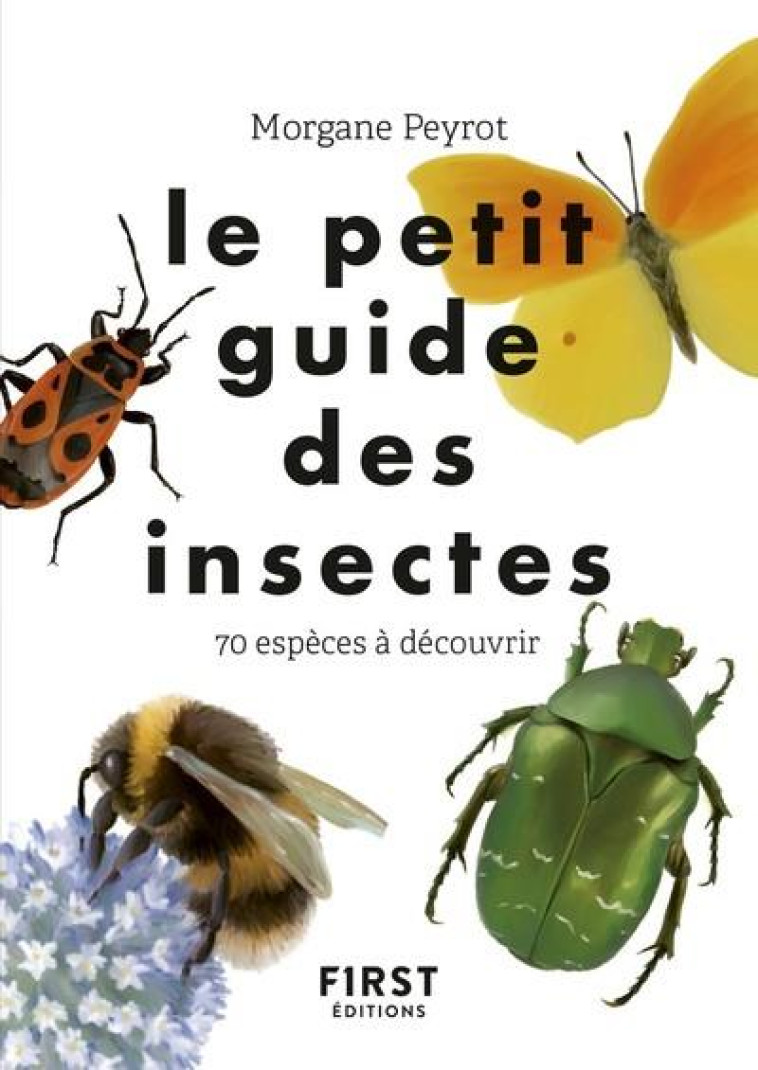 LE PETIT GUIDE DES INSECTES - PEYROT/HERZOG - FIRST