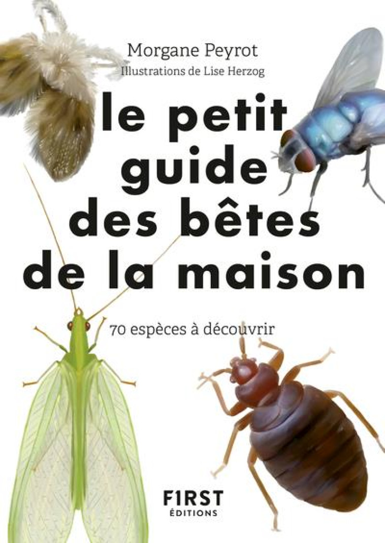 PETIT GUIDE D'OBSERVATION DES PETITES BETES DE LA MAISON - PEYROT/HERZOG - FIRST