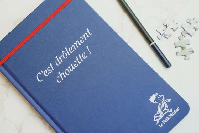 CARNET LE PETIT NICOLAS C-EST DROLEMENT CHOUETTE - COLLECTIF - PAPIER RESISTAN